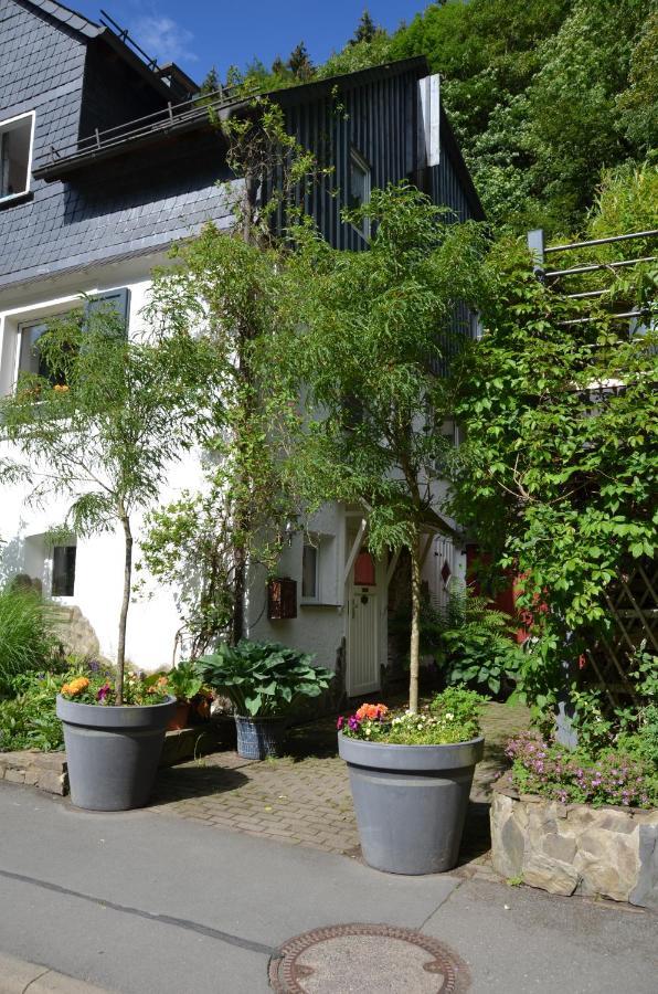Birgits Landhaus Willingen Willingen  Bagian luar foto