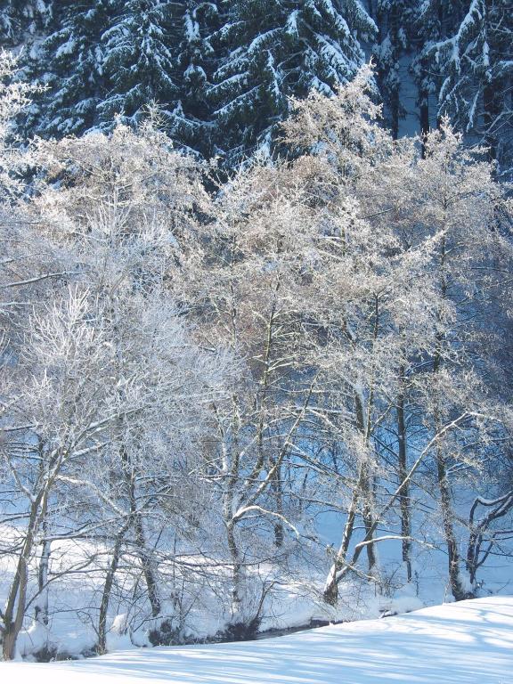 Birgits Landhaus Willingen Willingen  Bagian luar foto