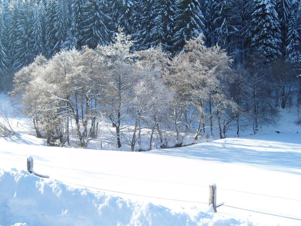 Birgits Landhaus Willingen Willingen  Bagian luar foto